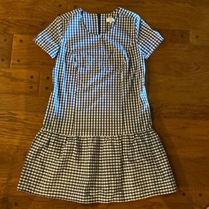 Universal Standard for J Crew Checkered Blue Dress